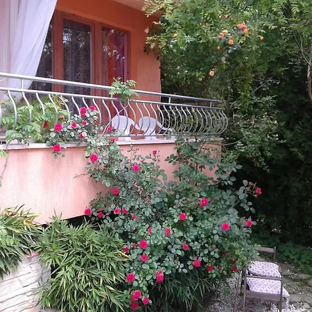 House Sapphire Golden Sands