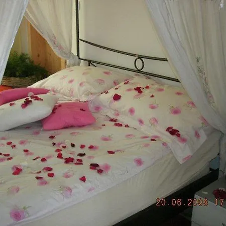 House Sapphire Homestay *